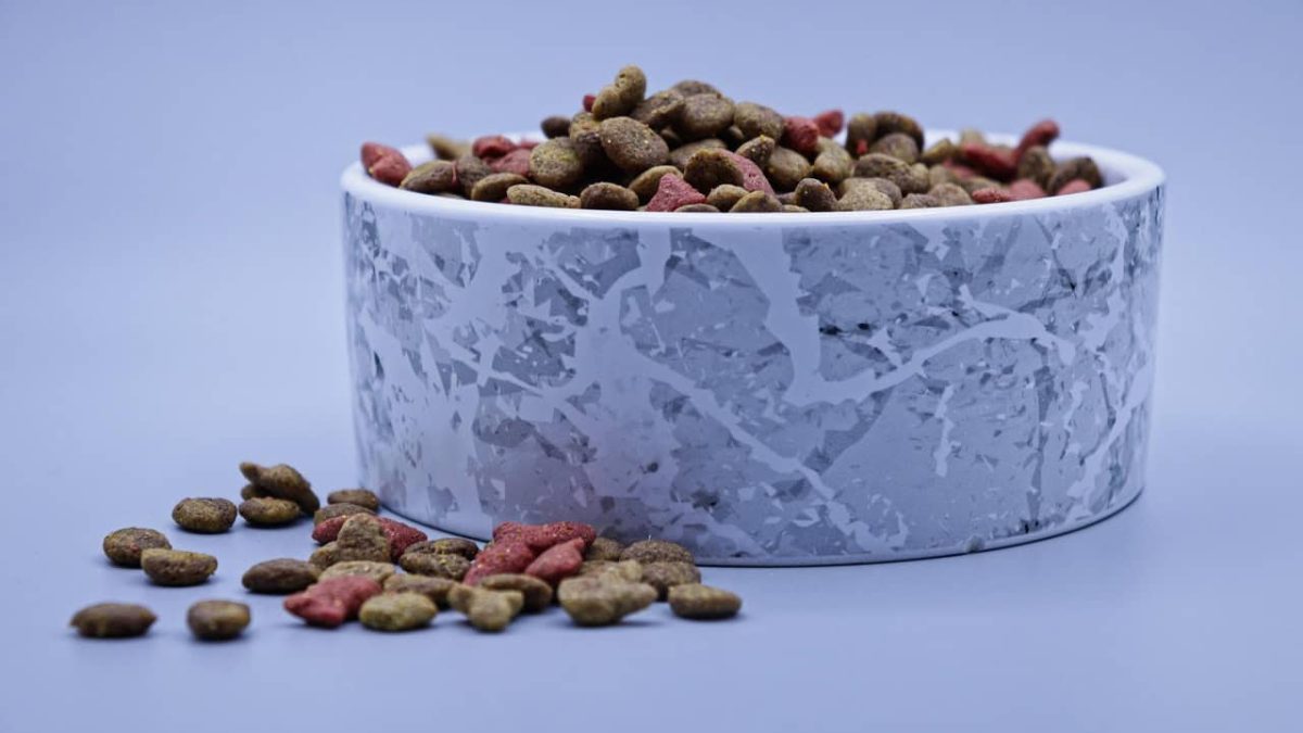 Come migliorare l’alimentazione di cane e gatto